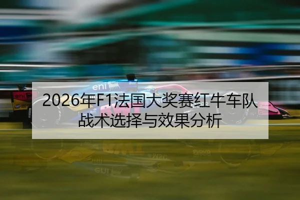 nian-fa-guo-da-jiang-sai-hong-niu-che-dui-zhan-shu-xuan-ze-yu-xiao-guo-fen-xi-2-956.jpg