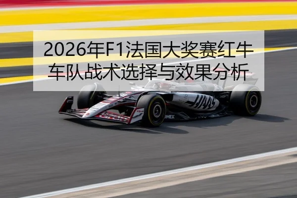 2026年F1法国大奖赛红牛车队战术选择与效果分析