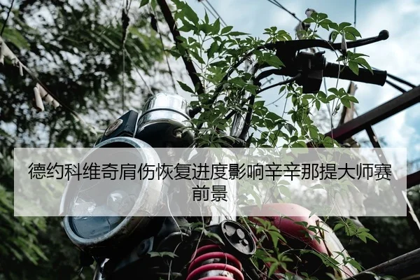 德约科维奇肩伤恢复进度影响辛辛那提大师赛前景